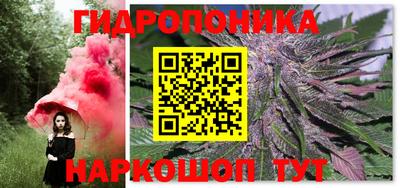 трава Сланцы