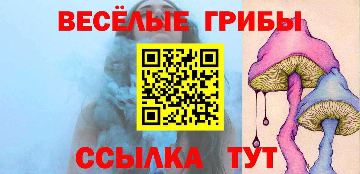 Галлюциногенные грибы Psilocybine cubensis Полысаево